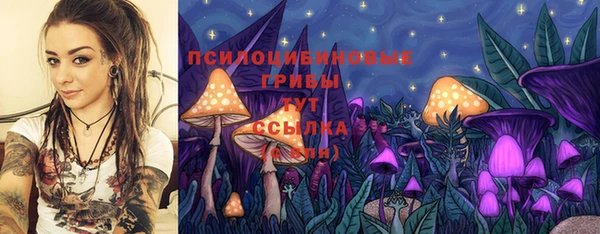 трава Великий Новгород