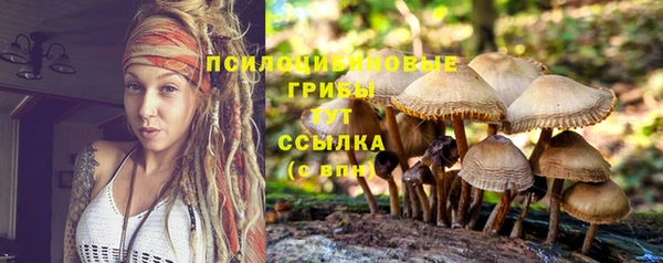 прущая мука Лабытнанги