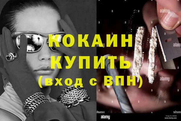 бошки Ладушкин