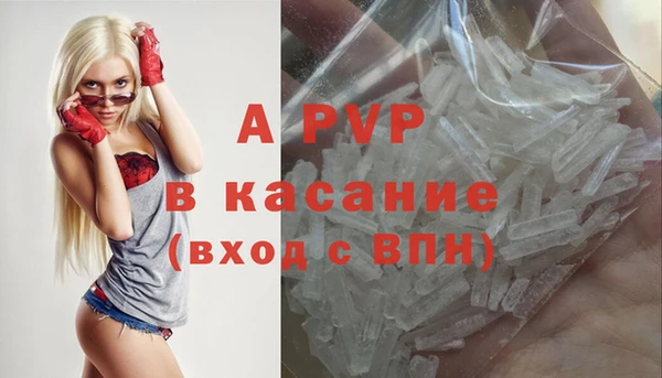 бошки Ладушкин