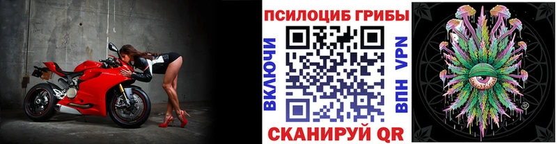 Галлюциногенные грибы Cubensis Ачхой-Мартан